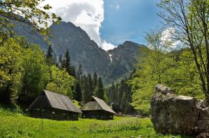 Domek Trzy Doliny Zakopane - Three Valleys Chalet Grill&Jacuzzi