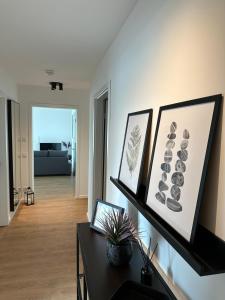 Ostwall Terrassen Apartment 5.29