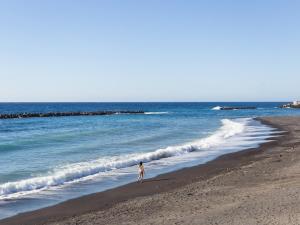 Live Puertito Neptune Beach
