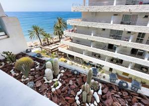 Skol 438 Super One-bedroom Apartment with Sea Views