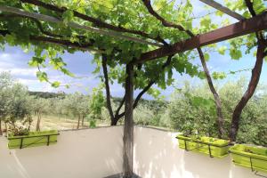 Attico Asinara img31