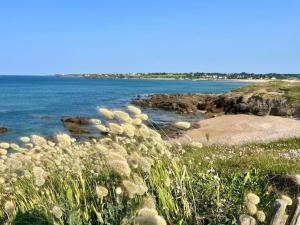 Maisons de vacances Maison avec piscine a proximite des plages : photos des chambres