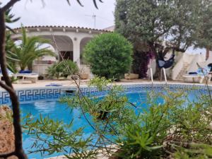 Riumar "Flora", 400m to beach, private pool, On-Site-Service, dog beach