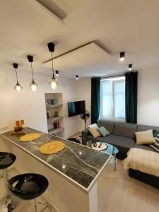 Apartament w centrum miasta przy parku i jeziorze - Dziki