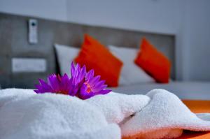 Super King Star Holiday Resort