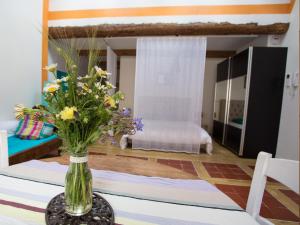 La Comedie de Pezenas - Appartements : photos des chambres
