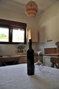 Jungle & Sea Boxavia