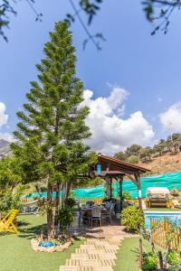 Finca el Albero