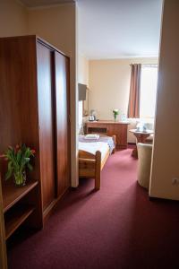 Double Room with Extra Bed room in Hotel pod Wierzba