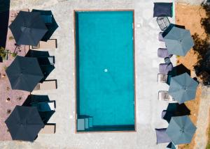 Pefkon Suites