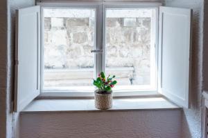 Apartment Kris- Stradun Old Town