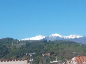 Appartements Studio(atypique) climatise dans le centre de Ceret : photos des chambres