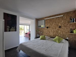 Rez de villa vue mer et sa piscine privative à débordement