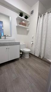 2BR 2BTH San Isidro Apartment