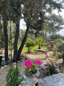 B&B / Chambres d'hotes Le Mas de la Rose : photos des chambres