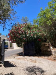 Maisons de vacances Le gite de Fontsainte : photos des chambres