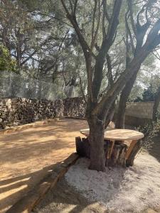 Maisons de vacances Le gite de Fontsainte : photos des chambres