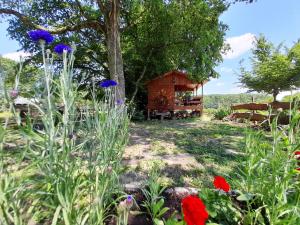 Maisons de vacances la cabane du cowboy : photos des chambres