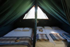 Villages vacances Village Huttopia Sud Ardeche : photos des chambres