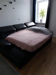 apartamenty na Pensjonatowej 8
