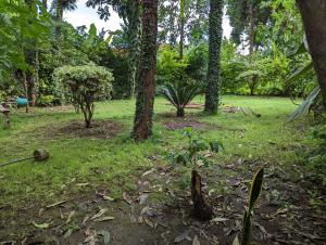 Arusha Holiday Safari