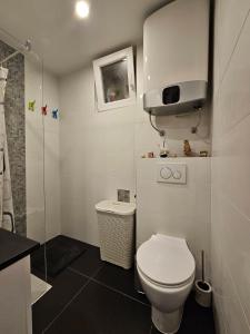Apartman Carnevalus 