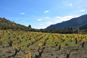 Maisons de vacances VILLA VILATA A PADERN DANS LES CORBIERES SAUVAGES : photos des chambres