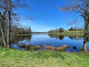 Maisons de vacances Home in Champagnac La Riviere with shared pool : photos des chambres
