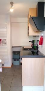 Ferienwohnung in Grenzach