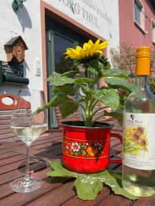 Weingut und Gästezimmer Jörg Thul