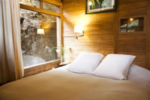 Tree House Lodge