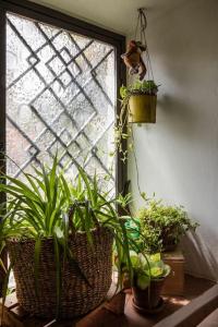 La Casa nella Torre - Apartment