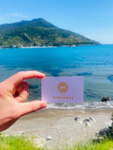 B&B Girasole