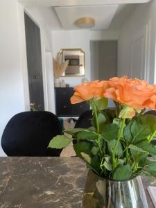 Lux suite in Split- Jacuzzi&Gym&more