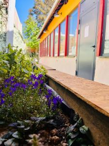 Auberges de jeunesse YASI Hostel : photos des chambres