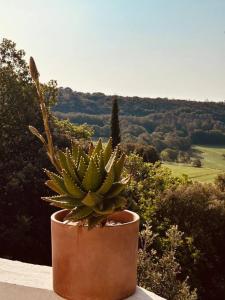 Villas Belle maison contemporaine : photos des chambres