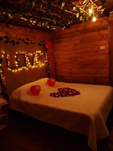 Glamping entre bosques