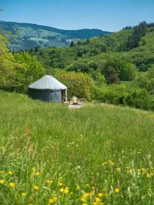 Yourtissimo - Lavoine