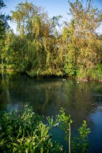 Lodges Le Nichoir du Marais - ecolodge : photos des chambres