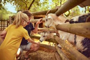 Maisons de vacances Vacances inoubliables en Ardeche 6 personnes : photos des chambres