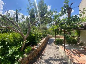 Beautiful country house near Ronda