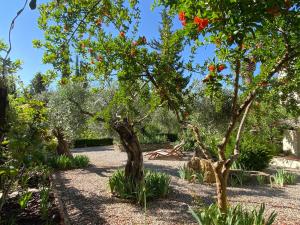 Beautiful country house near Ronda