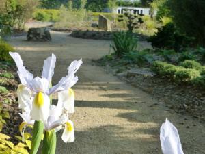 Sejours chez l'habitant Domaine Paysager de Kertanguy : photos des chambres