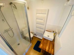 Le studio Aigle - proche quais rive droite - 249