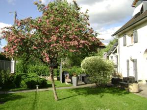 B&B / Chambres d'hotes Les Petunias : photos des chambres