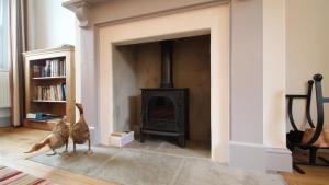 Orchard Cottage, Landimore