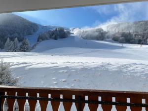 Appartements Studio face aux pistes avec balcon Alpe du Grand Serre : photos des chambres