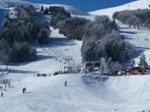 Appartements Studio face aux pistes avec balcon Alpe du Grand Serre : photos des chambres