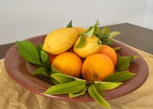 La Terrazza sul blu di Capri