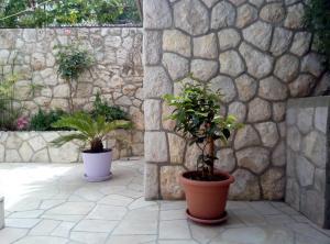 Apartments Desa Petric